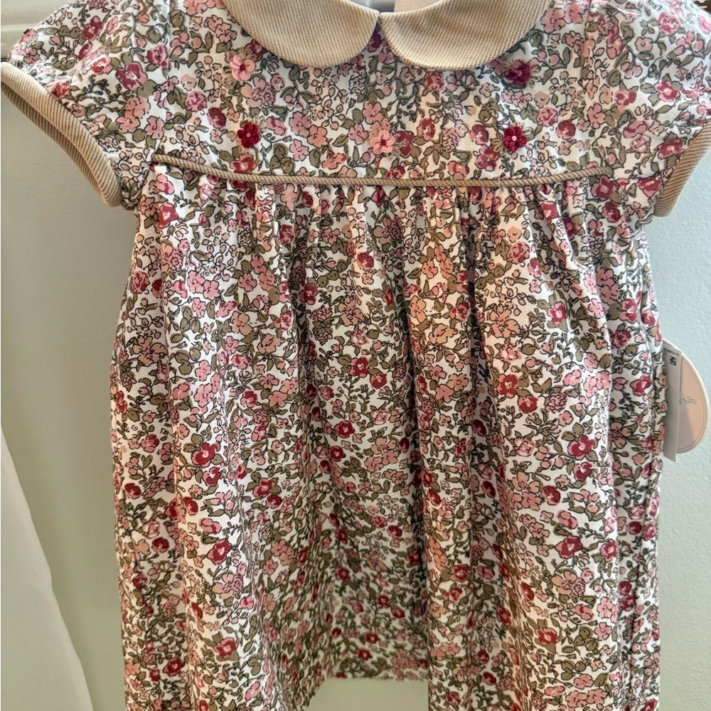 Edgehill Collection Dress with Peter Pan Collar
